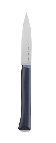 Нож столовый Opinel, Newintempor, пластиковая ручка, нерж, сталь. 002223 фото 2